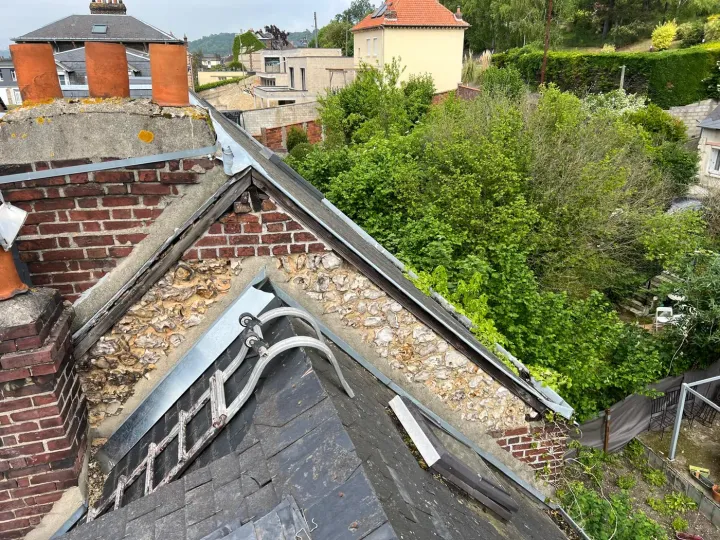 Démoussage d’une toiture au Havre (76)
